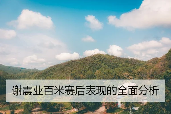 谢震业百米赛后表现的全面分析